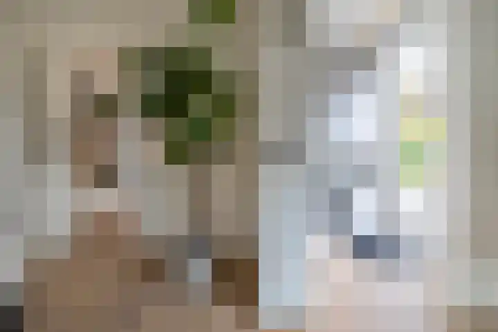 Nijverheidstraat 4 Gorssel thumbnail 26
