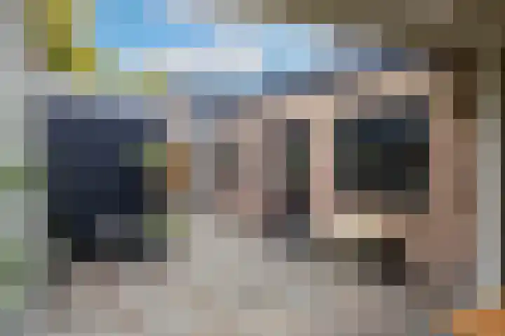 Nijverheidstraat 4 Gorssel thumbnail 28