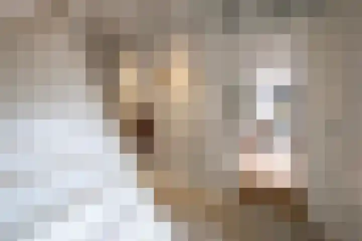 Nijverheidstraat 4 Gorssel thumbnail 29