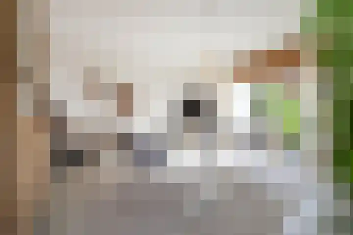 Nijverheidstraat 4 Gorssel thumbnail 31