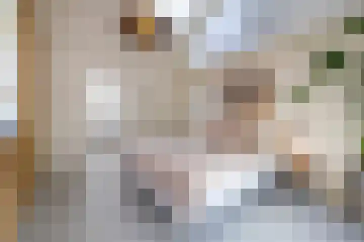 Nijverheidstraat 4 Gorssel thumbnail 36