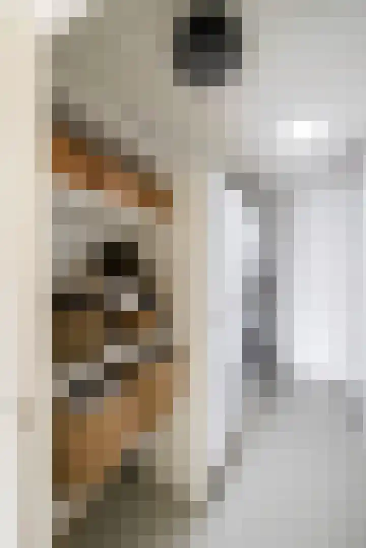 Nijverheidstraat 4 Gorssel thumbnail 40