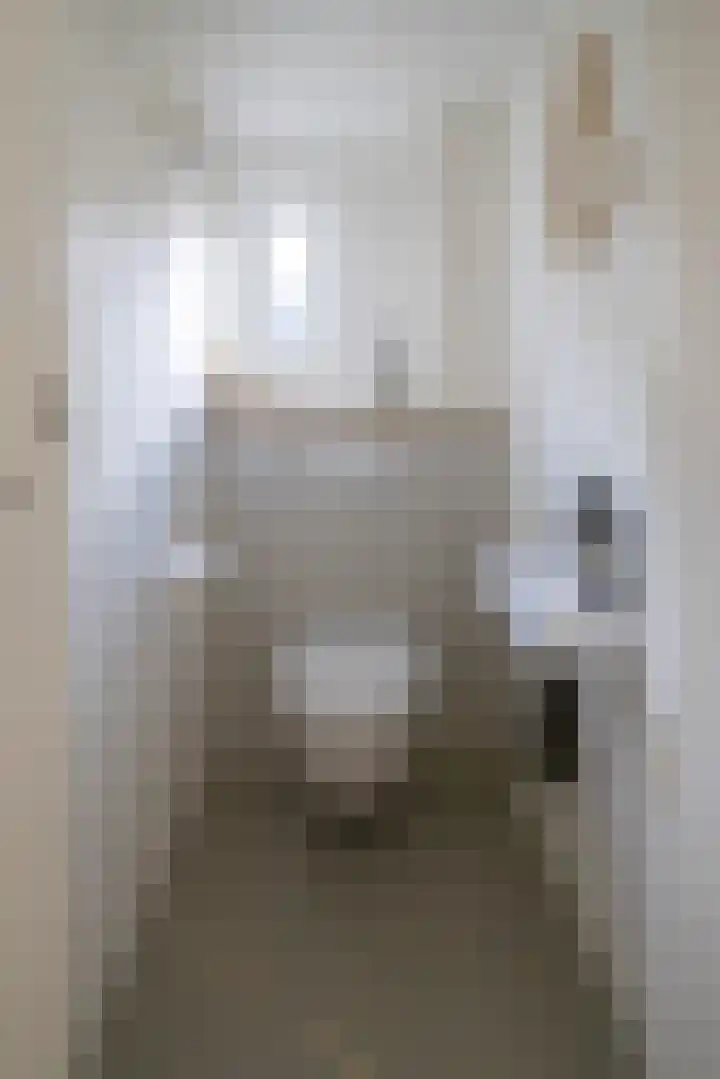 Nijverheidstraat 4 Gorssel thumbnail 42