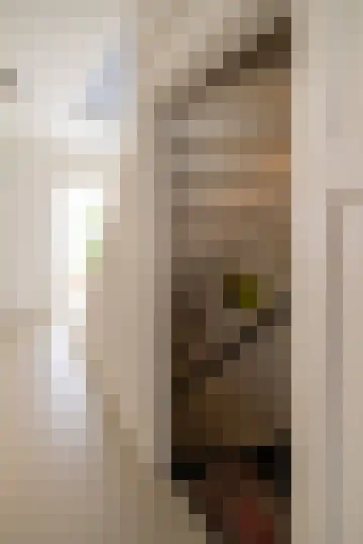Nijverheidstraat 4 Gorssel thumbnail 43