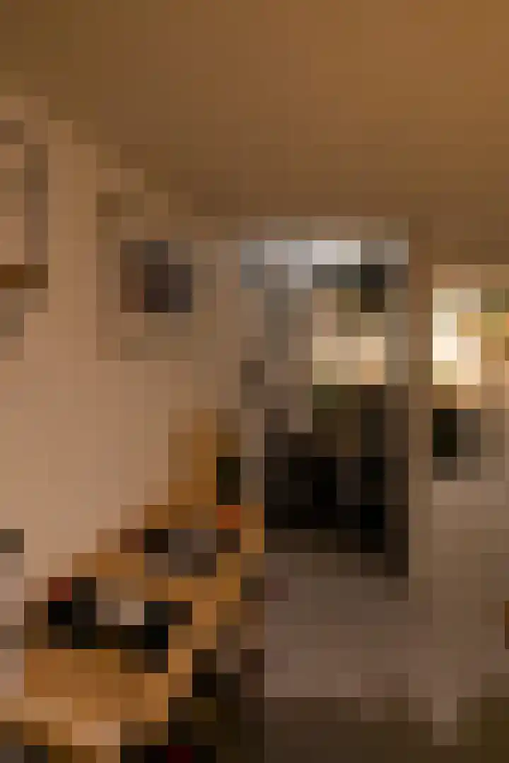 Nijverheidstraat 4 Gorssel thumbnail 45