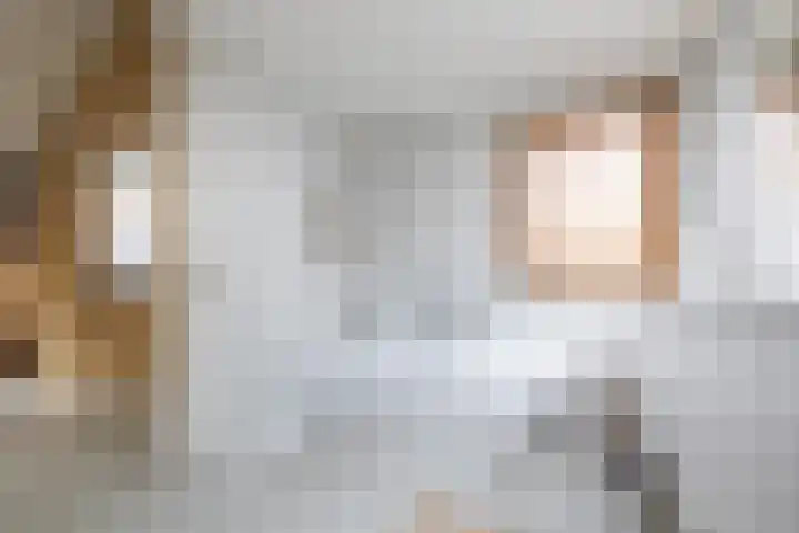 Nijverheidstraat 4 Gorssel thumbnail 5