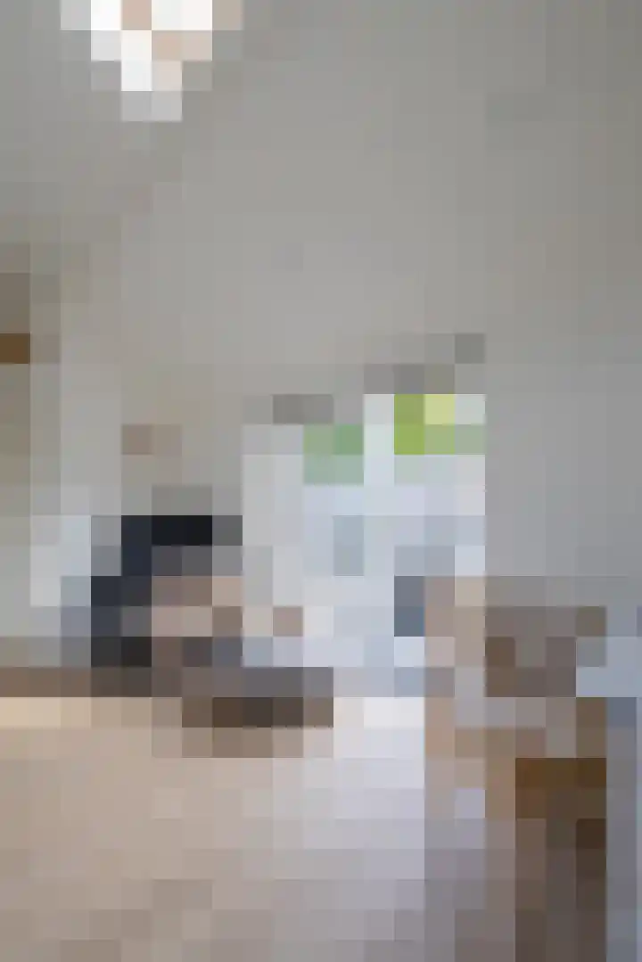 Nijverheidstraat 4 Gorssel thumbnail 54