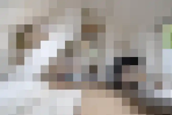Nijverheidstraat 4 Gorssel thumbnail 55