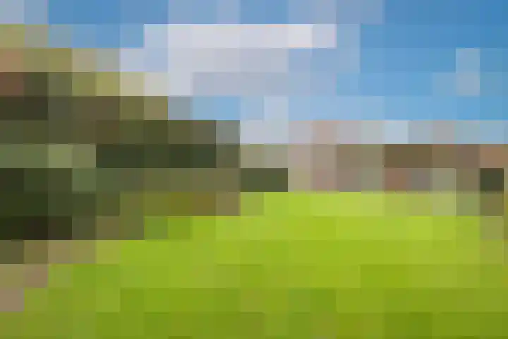Nijverheidstraat 4 Gorssel thumbnail 58