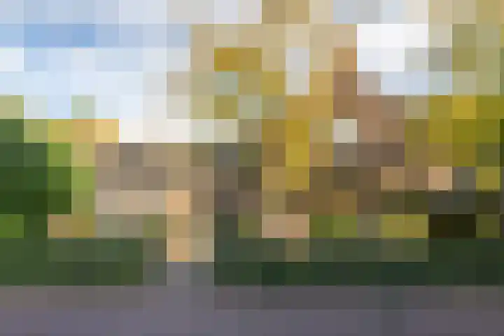 Nijverheidstraat 4 Gorssel thumbnail 75