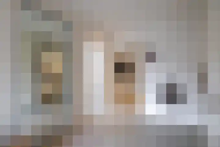 Nijverheidstraat 4 Gorssel thumbnail 8
