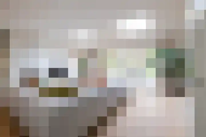 Nijverheidstraat 4 Gorssel thumbnail 9