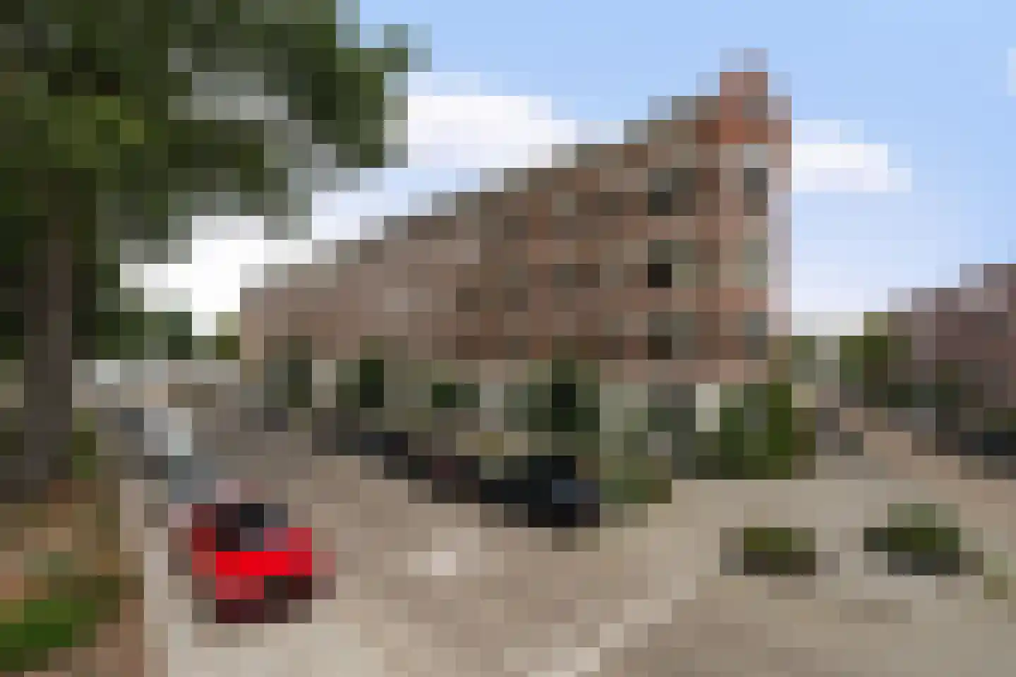 Nijverheidstraat 44 C Rotterdam thumbnail 43