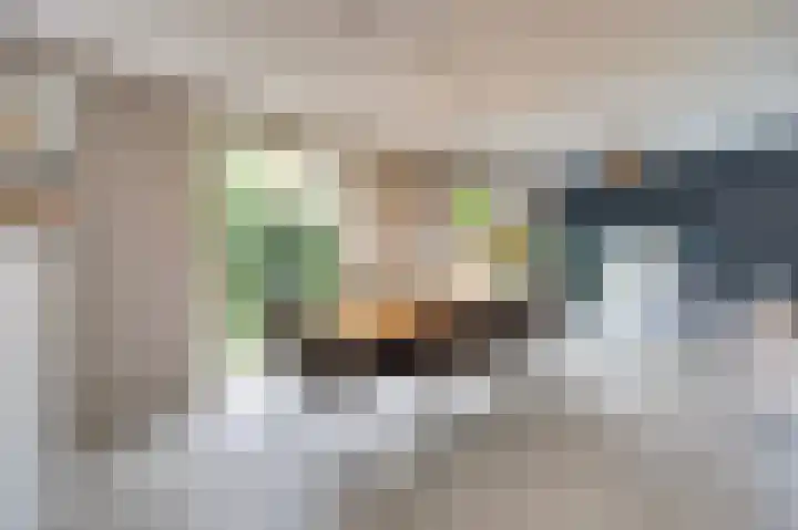 Nijverheidstraat 8 Geldermalsen thumbnail 10