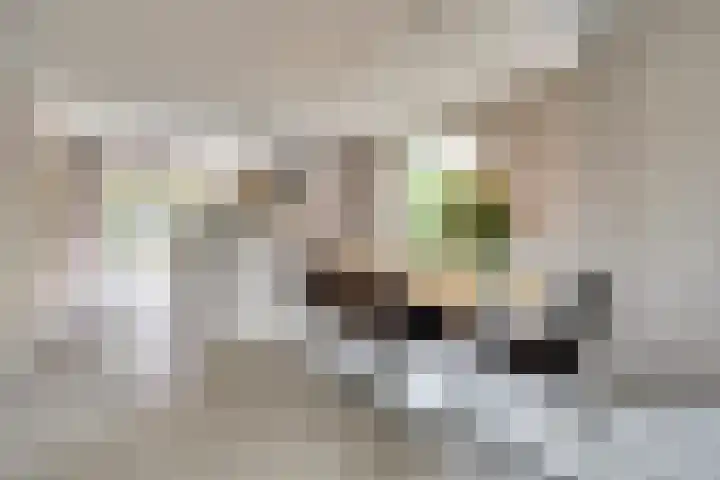 Nijverheidstraat 8 Geldermalsen thumbnail 11