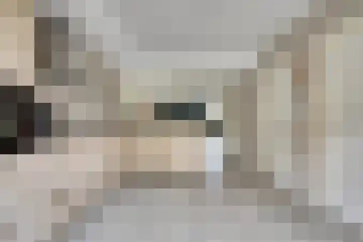 Nijverheidstraat 8 Geldermalsen thumbnail 13