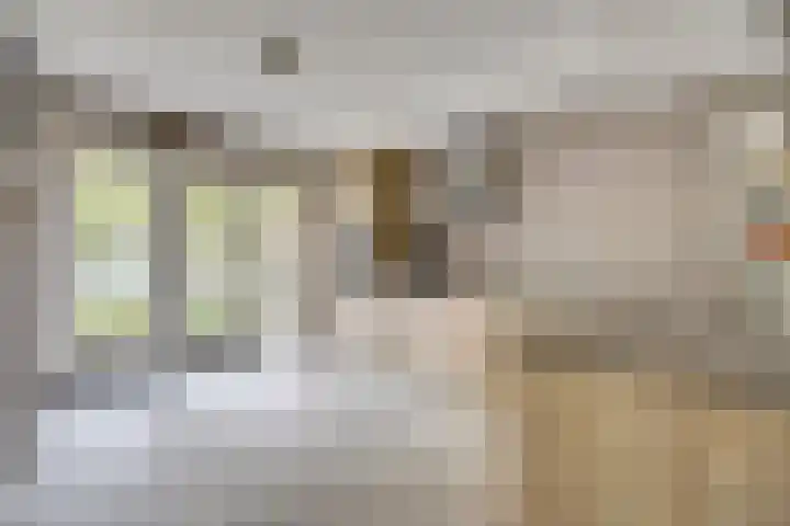 Nijverheidstraat 8 Geldermalsen thumbnail 15