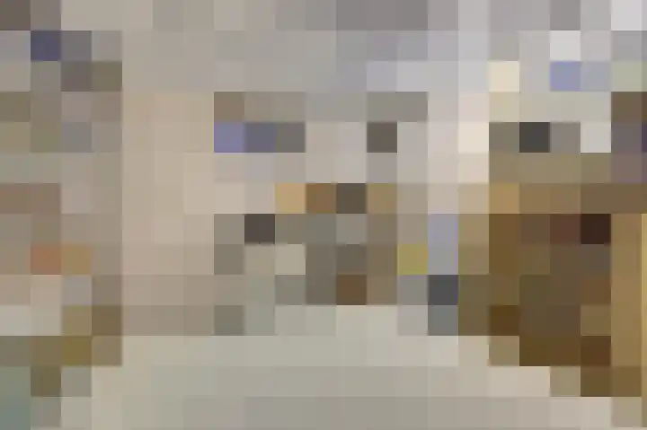 Nijverheidstraat 8 Geldermalsen thumbnail 17