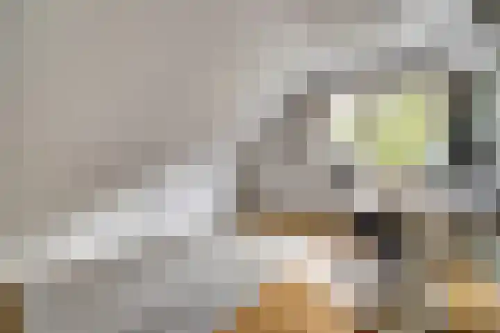 Nijverheidstraat 8 Geldermalsen thumbnail 26