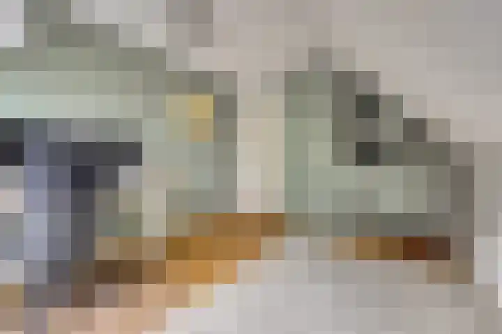 Nijverheidstraat 8 Geldermalsen thumbnail 27