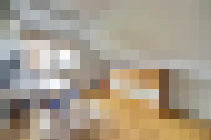 Nijverheidstraat 8 Geldermalsen thumbnail 28