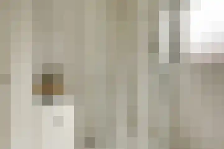 Nijverheidstraat 8 Geldermalsen thumbnail 31