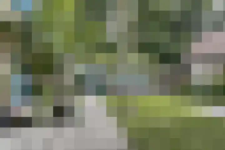 Nijverheidstraat 8 Geldermalsen thumbnail 37