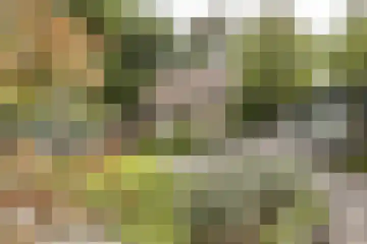 Nijverheidstraat 8 Geldermalsen thumbnail 40