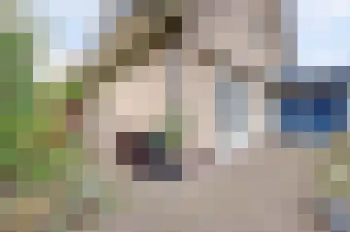 Nijverheidstraat 8 Geldermalsen thumbnail 42