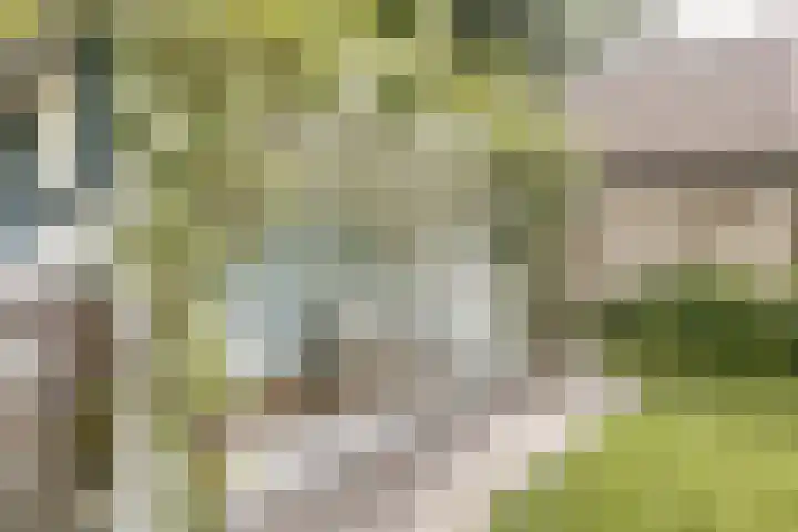 Nijverheidstraat 8 Geldermalsen thumbnail 43