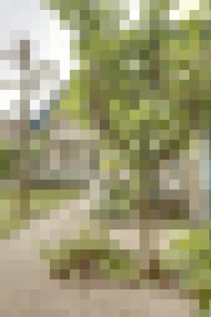 Nijverheidstraat 8 Geldermalsen thumbnail 45