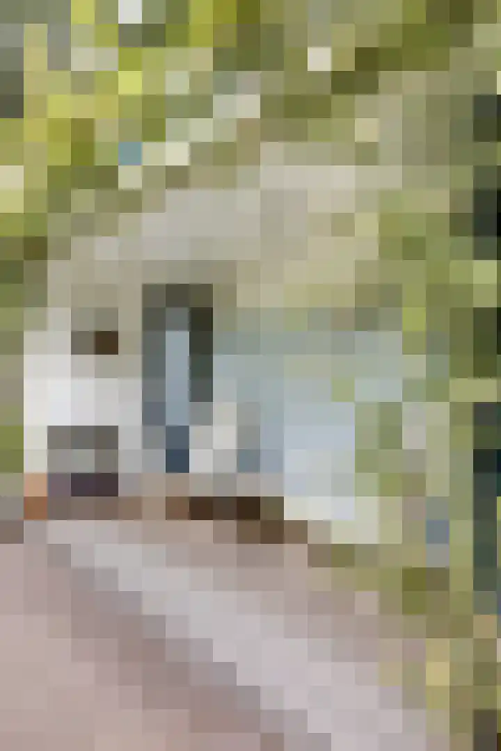 Nijverheidstraat 8 Geldermalsen thumbnail 46