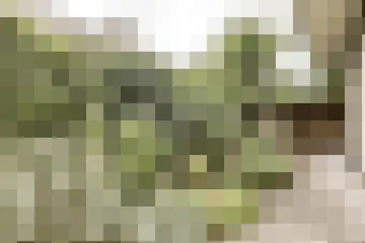 Nijverheidstraat 8 Geldermalsen thumbnail 47