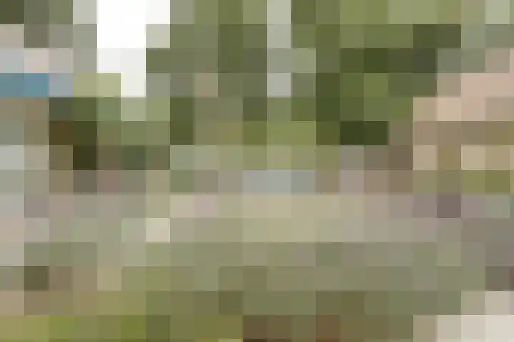 Nijverheidstraat 8 Geldermalsen thumbnail 48