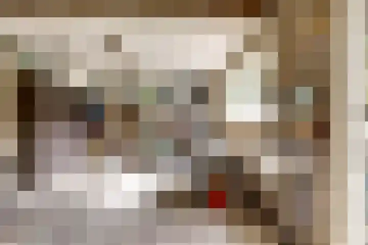 Nijverheidstraat 8 Geldermalsen thumbnail 49