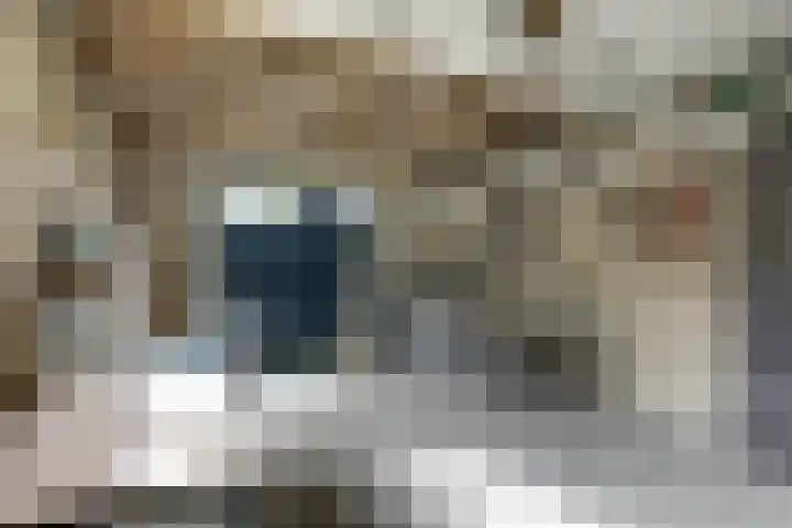 Nijverheidstraat 8 Geldermalsen thumbnail 50