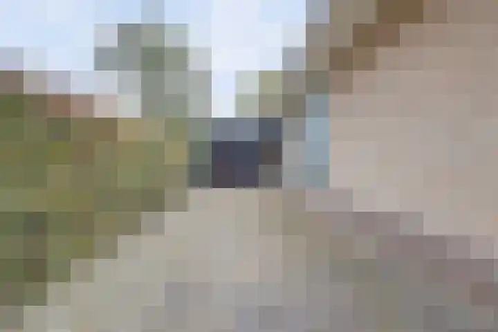 Nijverheidstraat 8 Geldermalsen thumbnail 51