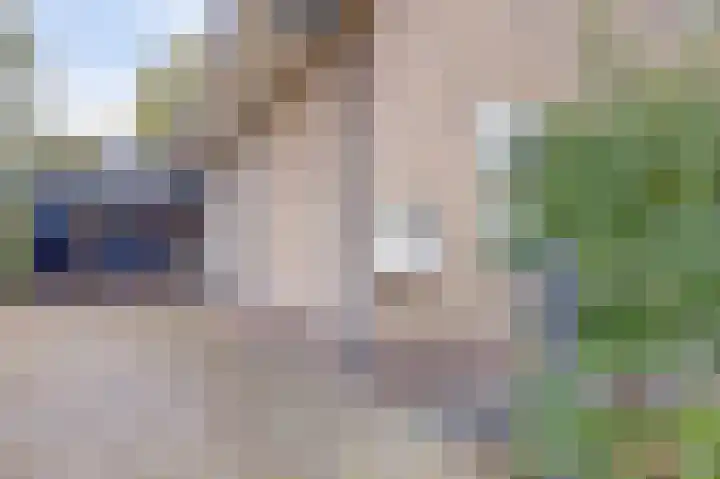 Nijverheidstraat 8 Geldermalsen thumbnail 53