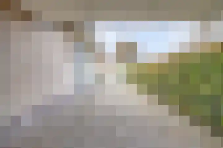 Nijverheidstraat 8 Geldermalsen thumbnail 54