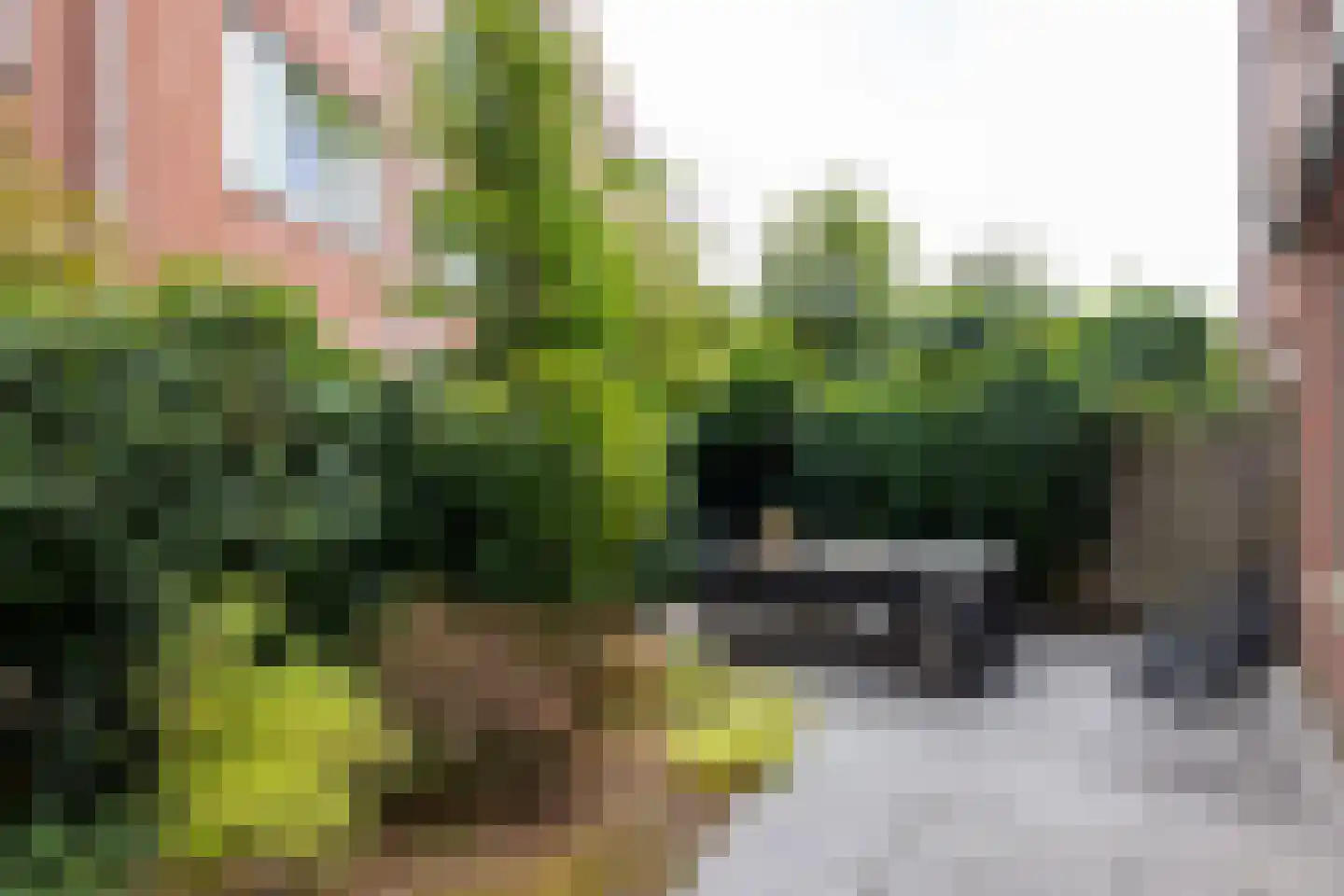 Nijverheidstraat 8 Rotterdam thumbnail 4