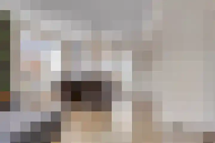 Nijverheidsweg 10 Ulft thumbnail 11