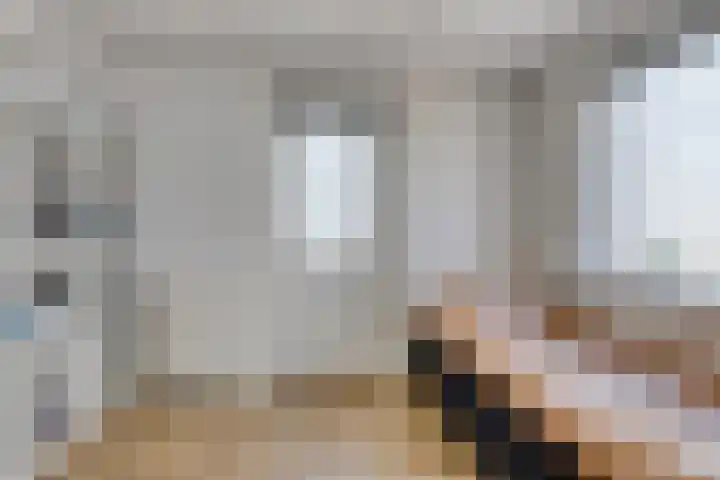 Nijverheidsweg 10 Ulft thumbnail 34