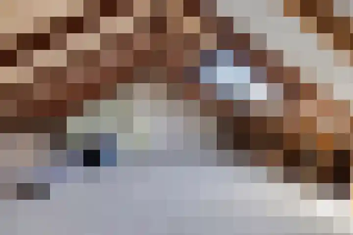 Nijverheidsweg 10 Ulft thumbnail 35