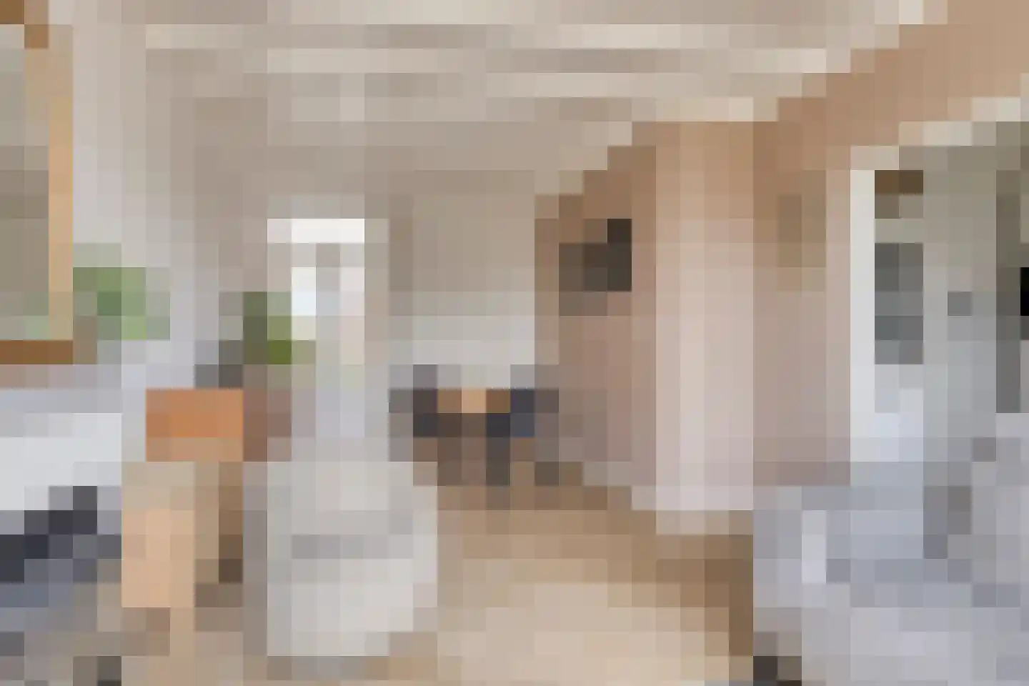 Nijverheidsweg 11 Aalten thumbnail 11