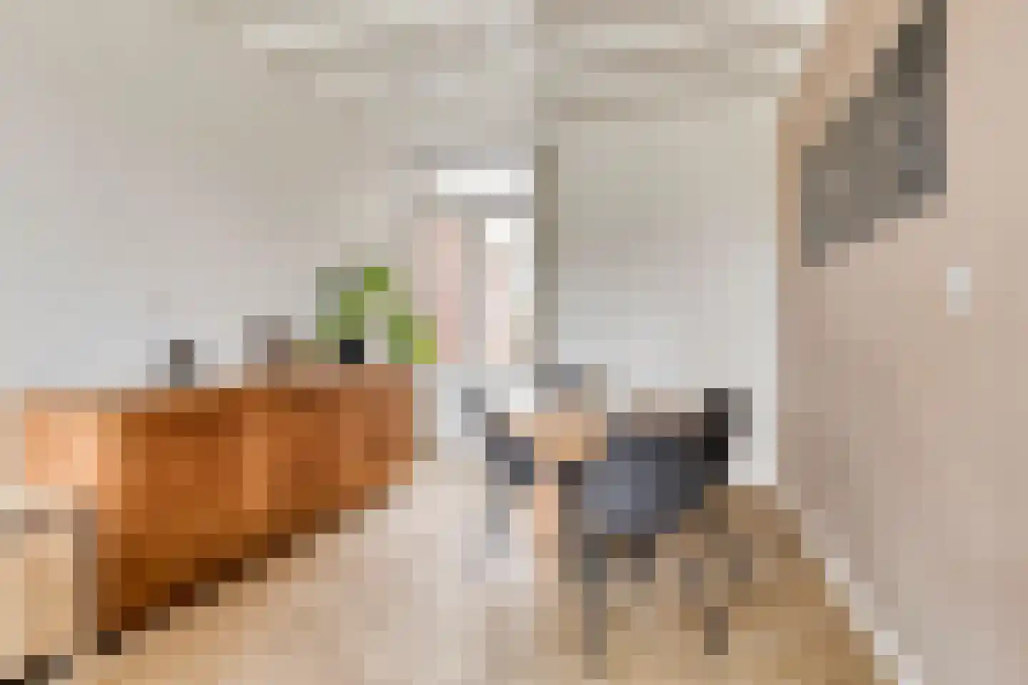 Nijverheidsweg 11 Aalten thumbnail 12