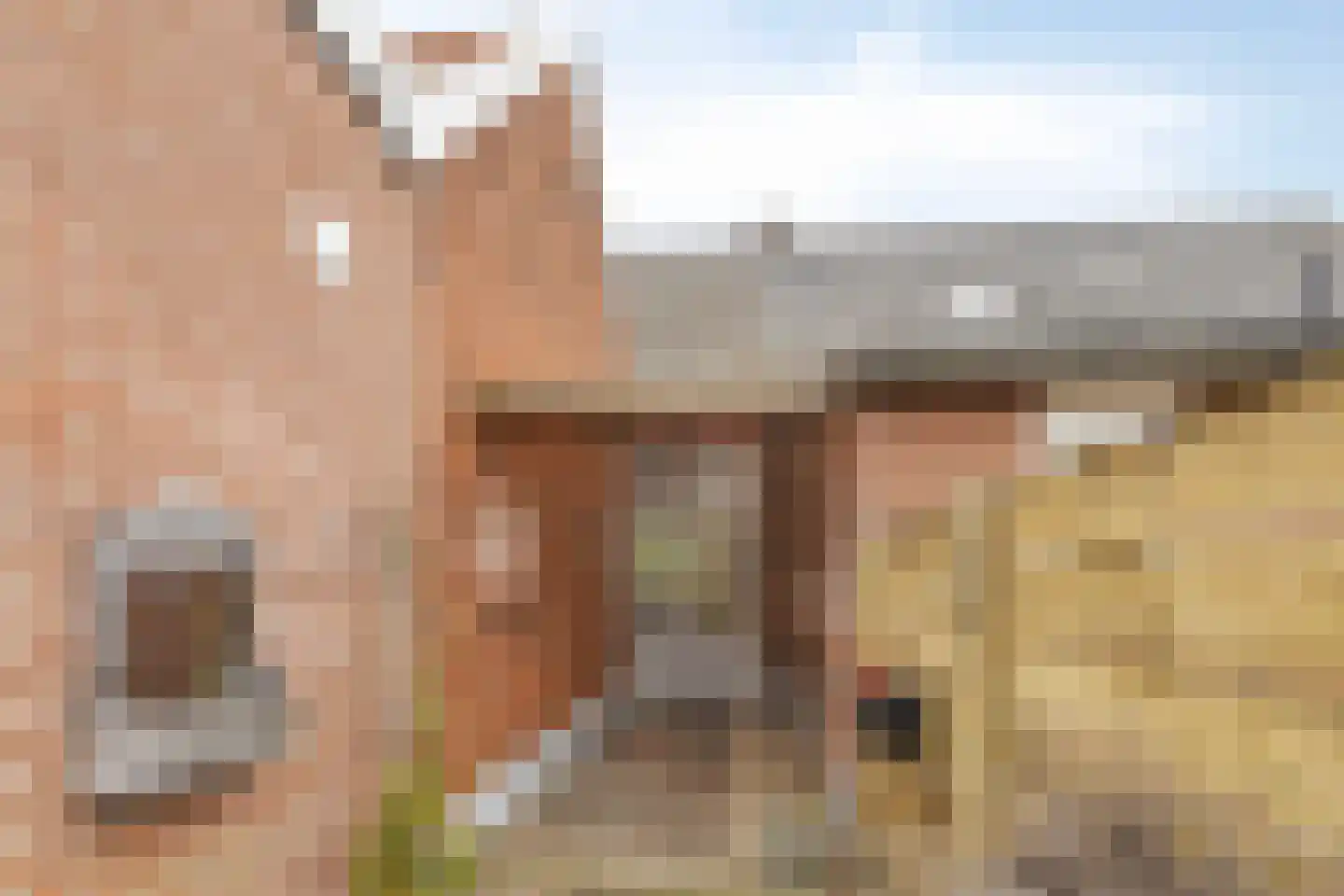 Nijverheidsweg 11 Aalten thumbnail 26
