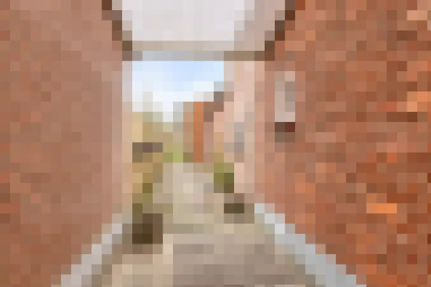 Nijverheidsweg 11 Aalten thumbnail 27