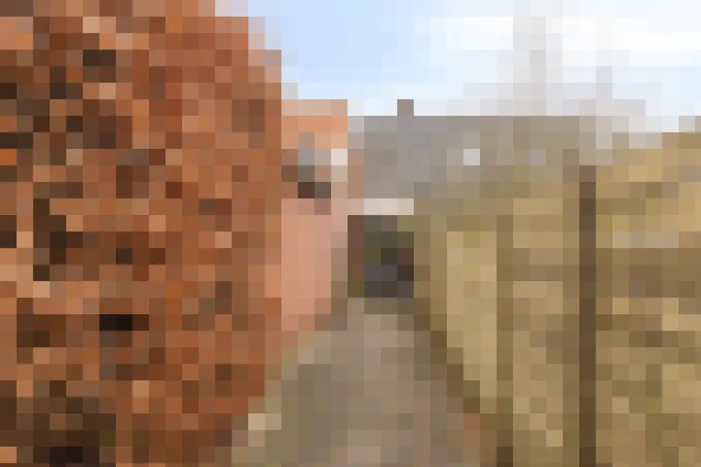 Nijverheidsweg 11 Aalten thumbnail 29