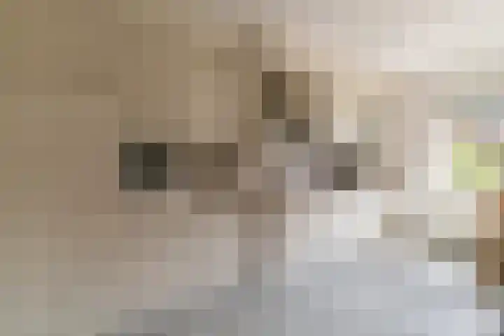 Nijverheidsweg 125 a Nunspeet thumbnail 13