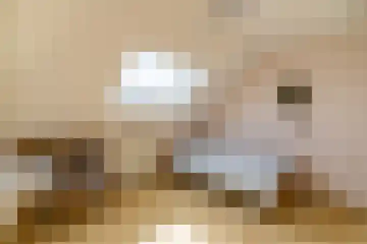 Nijverheidsweg 125 a Nunspeet thumbnail 20